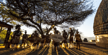 Receive Help with General Johannesburg Tours